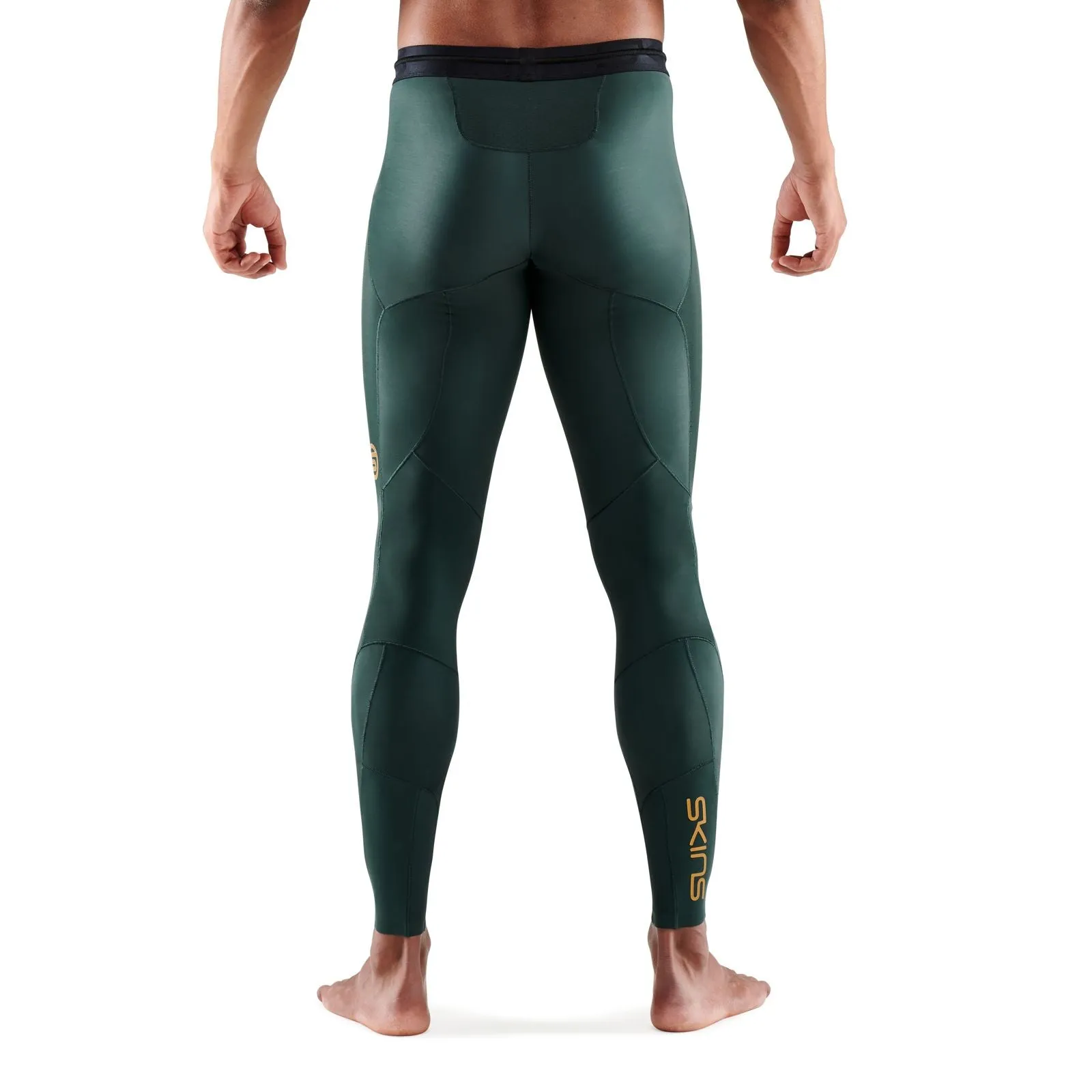 SKINS SERIES-5 MEN'S LONG TIGHTS FOREST GREEN