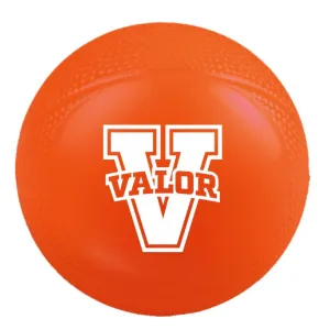 Valor Mini Basketball